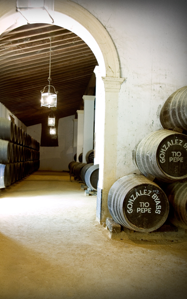 Visit the Tío Pepe wineries.
