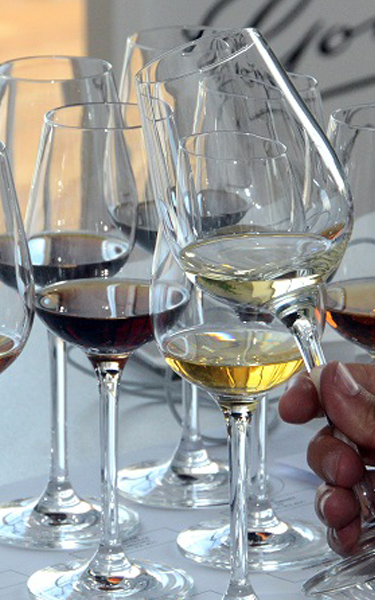 A tour which includes a technical tasting featuring 9 of our best wines.