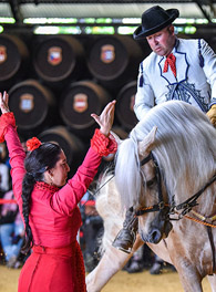 Yeguada del Hierro del Bocado