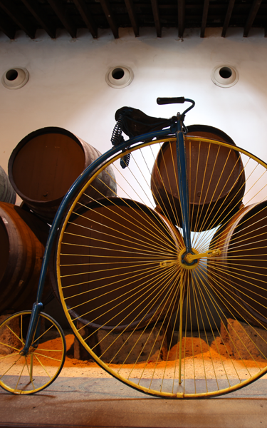 Enjoy the cycling tour of the Bodegas Tío Pepe.