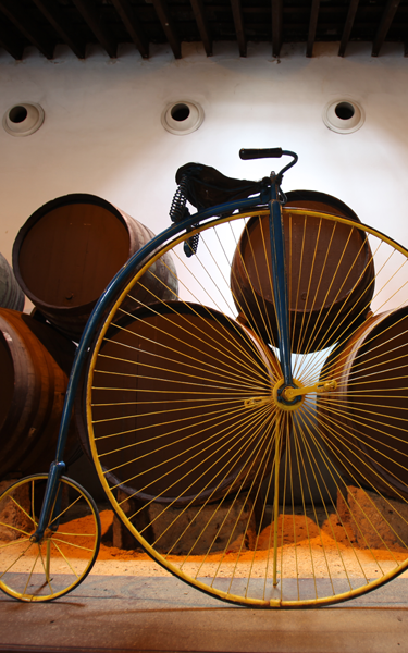 Enjoy the cycling tour of the Bodegas Tío Pepe. 