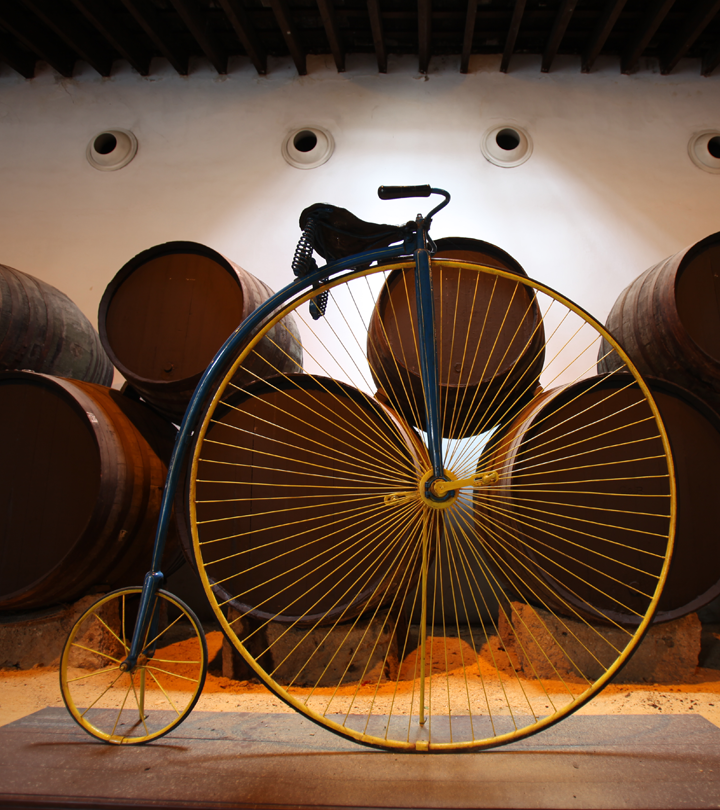 Enjoy the cycling tour of the Bodegas Tío Pepe.