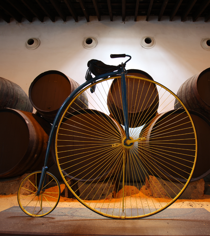 Enjoy the cycling tour of the Bodegas Tío Pepe. 