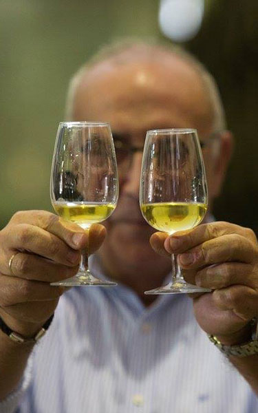 ¿Qué diferencias hay entre un Fino y una Manzanilla? 