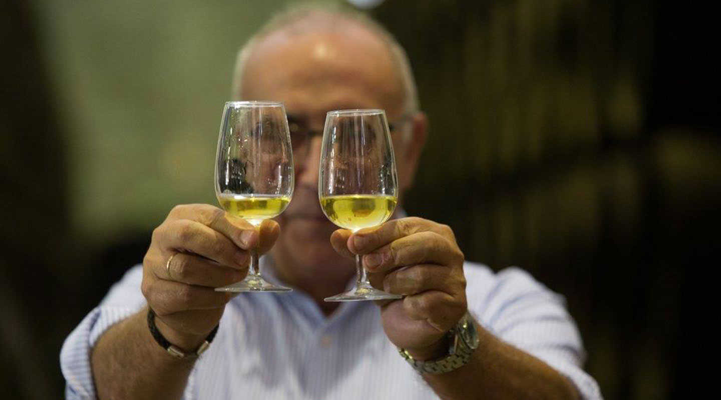 ¿Qué diferencias hay entre un Fino y una Manzanilla? 