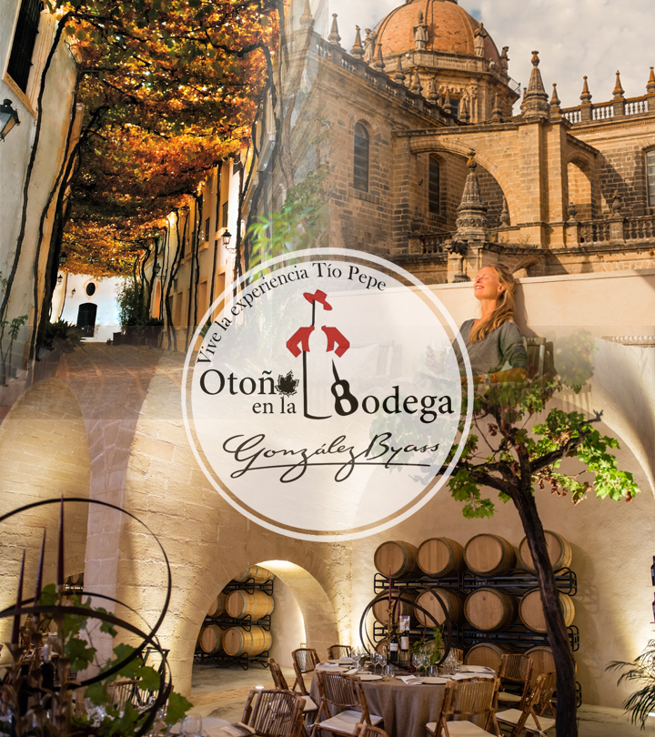 La visita más Premium a Bodegas Tío Pepe.