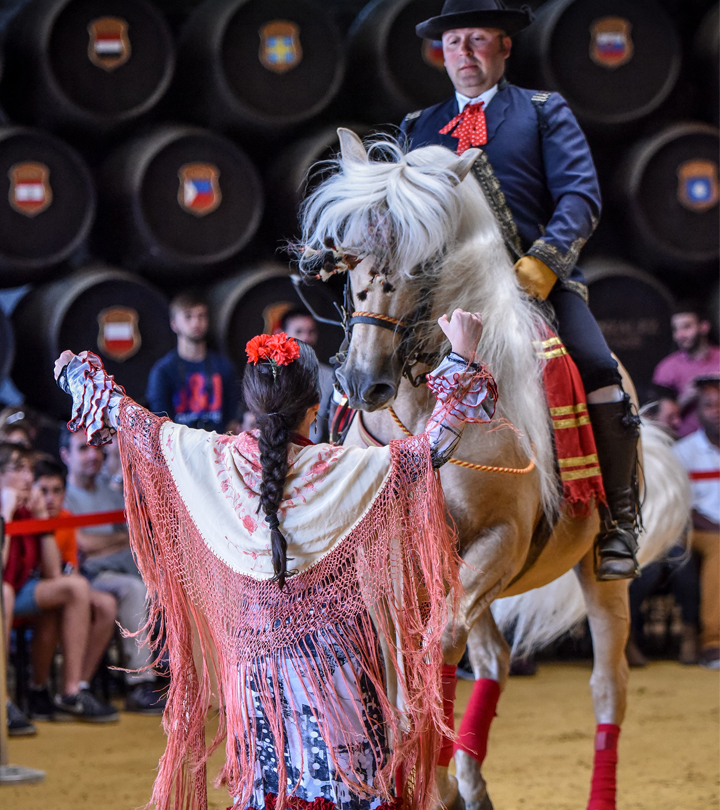 Visita ESPECTACULO ECUESTRE especial Semana Santa