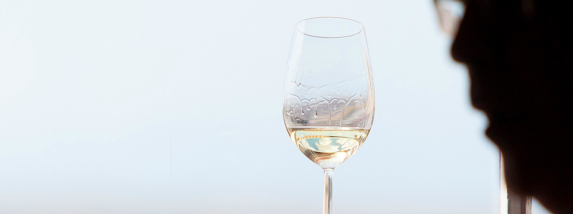 Antonio Flores catando Tío Pepe|Viñedo de uva palomino fino, en el mes de Agosto.|Catando vino fino Tío Pepe.|Crianza del vino fino, por el método de Solera y Criaderas en la bodega de la Constancia.|Tómate el vino fino muy, muy frío.