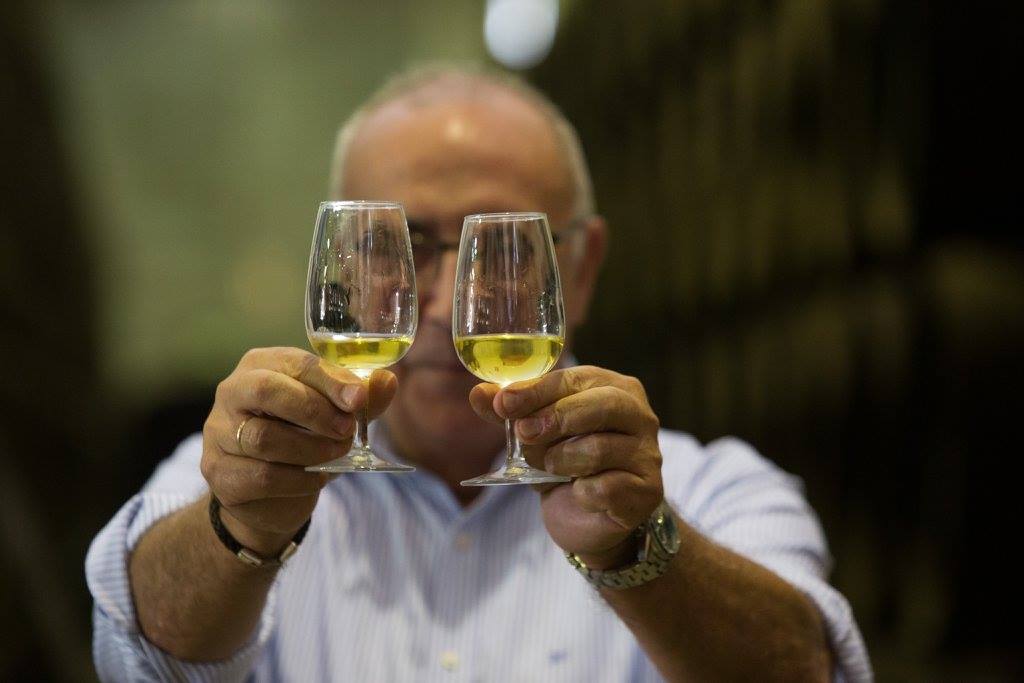 ¿Qué diferencias hay entre un Fino y una Manzanilla?