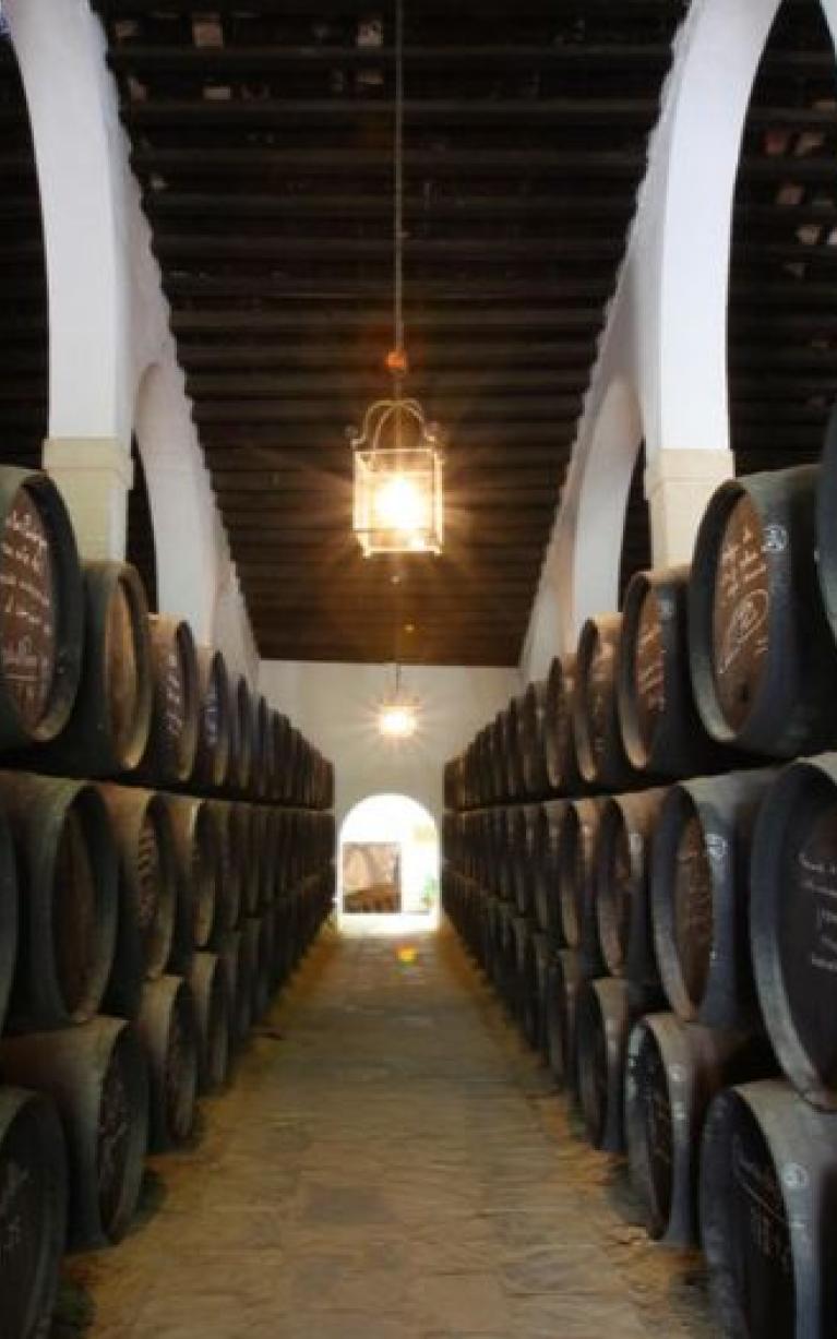 Visitas Bodega Tío Pepe