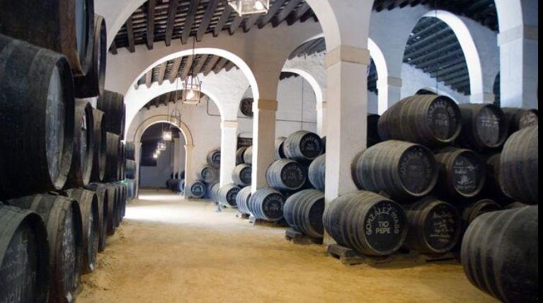 Bodega Tío Pepe