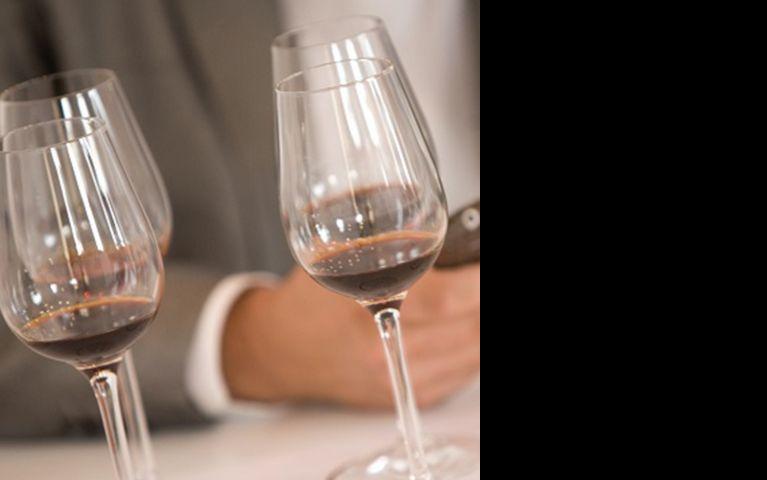 cata tecnica 5 vinos Tio Pepe