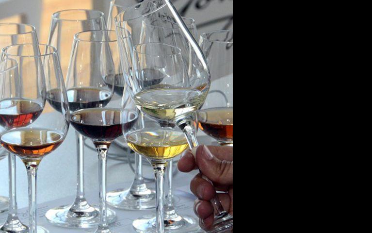 Cata tecnica 9 vinos Tio Pepe