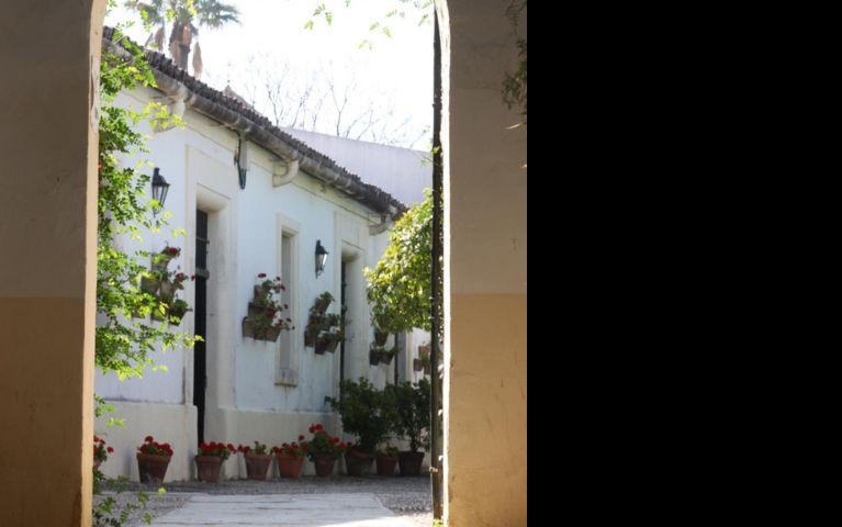 Sherry Fusion Tio Pepe