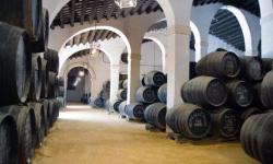 Bodega Tío Pepe