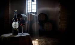Visita Premium VORS Tio Pepe
