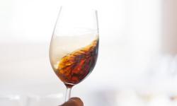 cata tecnica 5 vinos Tio Pepe