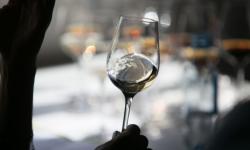 Cata tecnica 9 vinos Tio Pepe