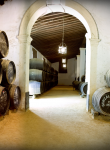  Visit the Tío Pepe wineries.