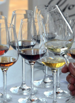 A tour which includes a technical tasting featuring 9 of our best wines.