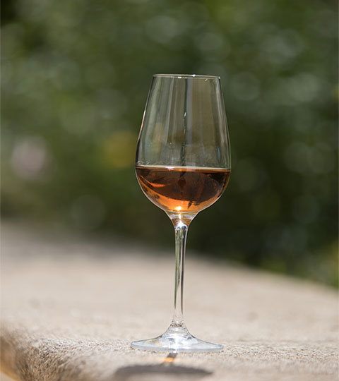 Vino Oloroso