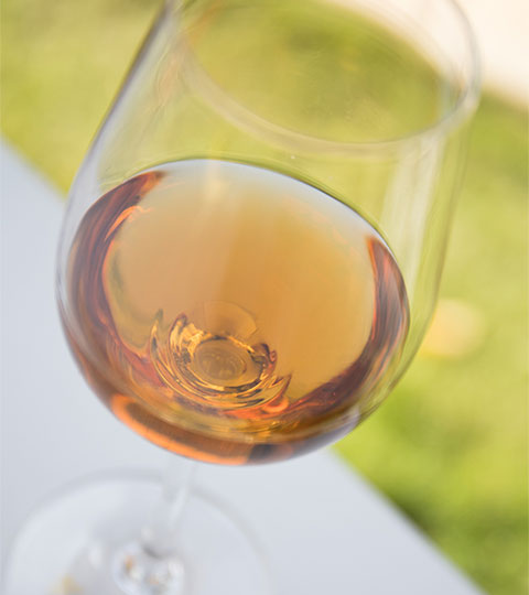 Vino Palo Cortado