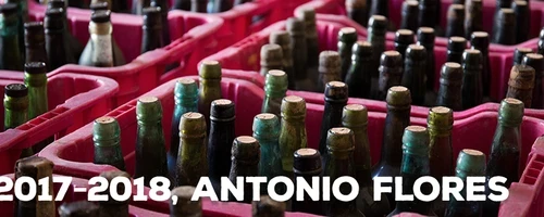 Resumen del año vinícola 2017 y proyectos para el 2018