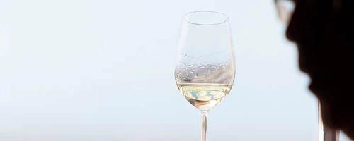 Antonio Flores catando Tío Pepe|Viñedo de uva palomino fino, en el mes de Agosto.|Catando vino fino Tío Pepe.|Crianza del vino fino, por el método de Solera y Criaderas en la bodega de la Constancia.|Tómate el vino fino muy, muy frío.