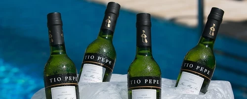 5 Tips for chilling Fino