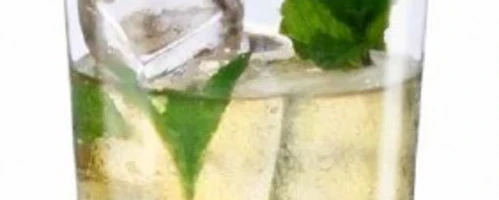 Tiojito in glass with ice and mint 