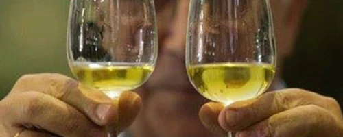 ¿Qué diferencias hay entre un Fino y una Manzanilla? 