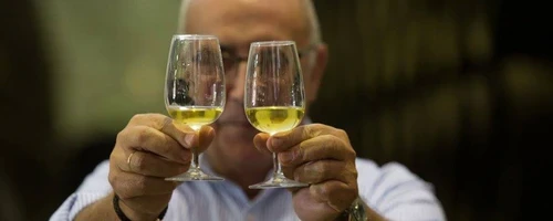 ¿Qué diferencias hay entre un Fino y una Manzanilla? 