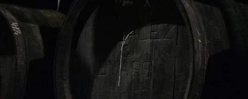 Marca “Una Palma” en bota