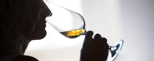 Palo Cortado
