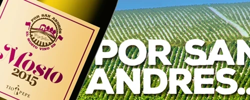 Por San Andrés, el mosto vino es