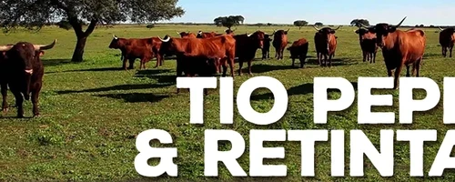 El Maridaje de la Retinta con los Vinos de Jerez brilla en el BlogTrip "Tio Pepe & Retinta"