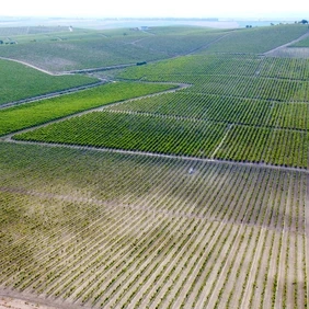 Vista dron