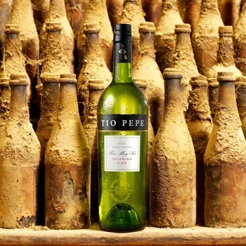 Visita Tio Pepe
