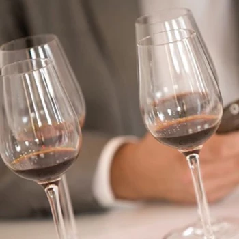 Cata 5 vinos