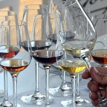 Cata 9 vinos