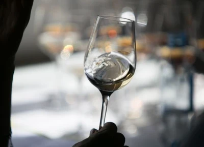 Cata tecnica 9 vinos Tio Pepe