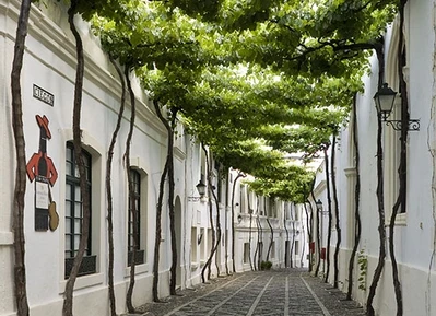 Calle Ciegos
