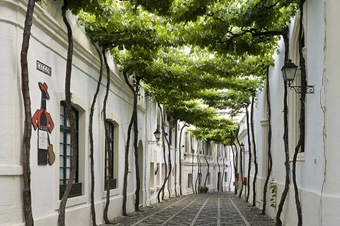 Calle Ciegos