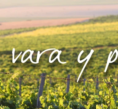 Tío Pepe en La Viña, Enero: Poda Vara y Pulgar