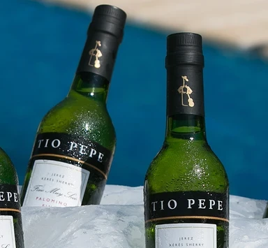 5 Trucos para enfriar el vino fino.