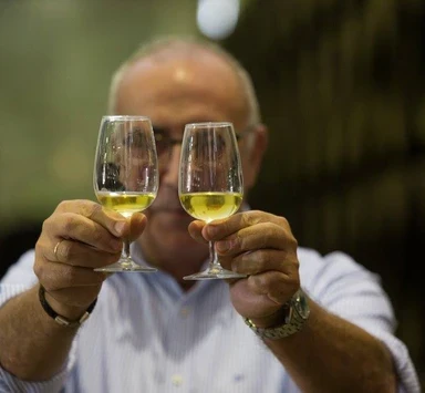 ¿Qué diferencias hay entre un Fino y una Manzanilla?