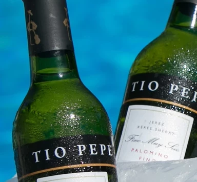 5 Trucos para enfriar tu vino fino.|Enfría tu botella de vino fino enterrándola en una zona húmeda.|Truco con cualquier saco de hielo de Gasolinera.||Uvas Congeladas para enfriar el Vino Fino|5 Trucos para enfriar el vino fino.