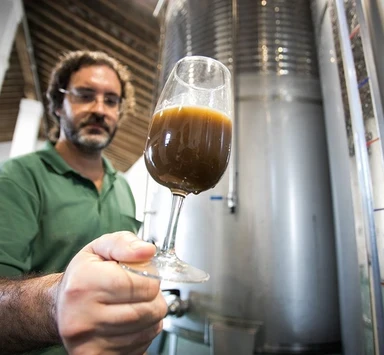 ¿Qué es un pedro ximénez?. Guía básica para iniciarte.
