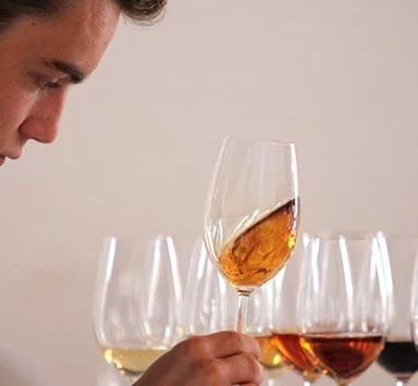 What is an Oloroso?