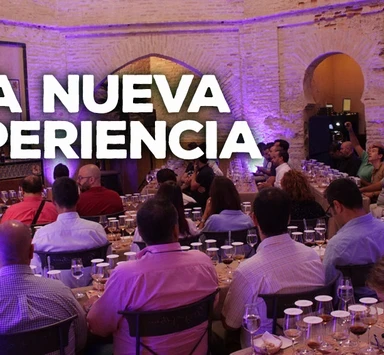 ¿Que es Vinograma?